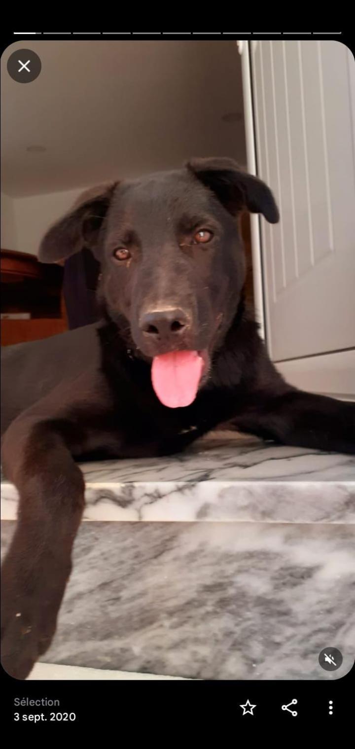 Cantinho Dos Moinhos Montemor-o-Velho Kültér fotó