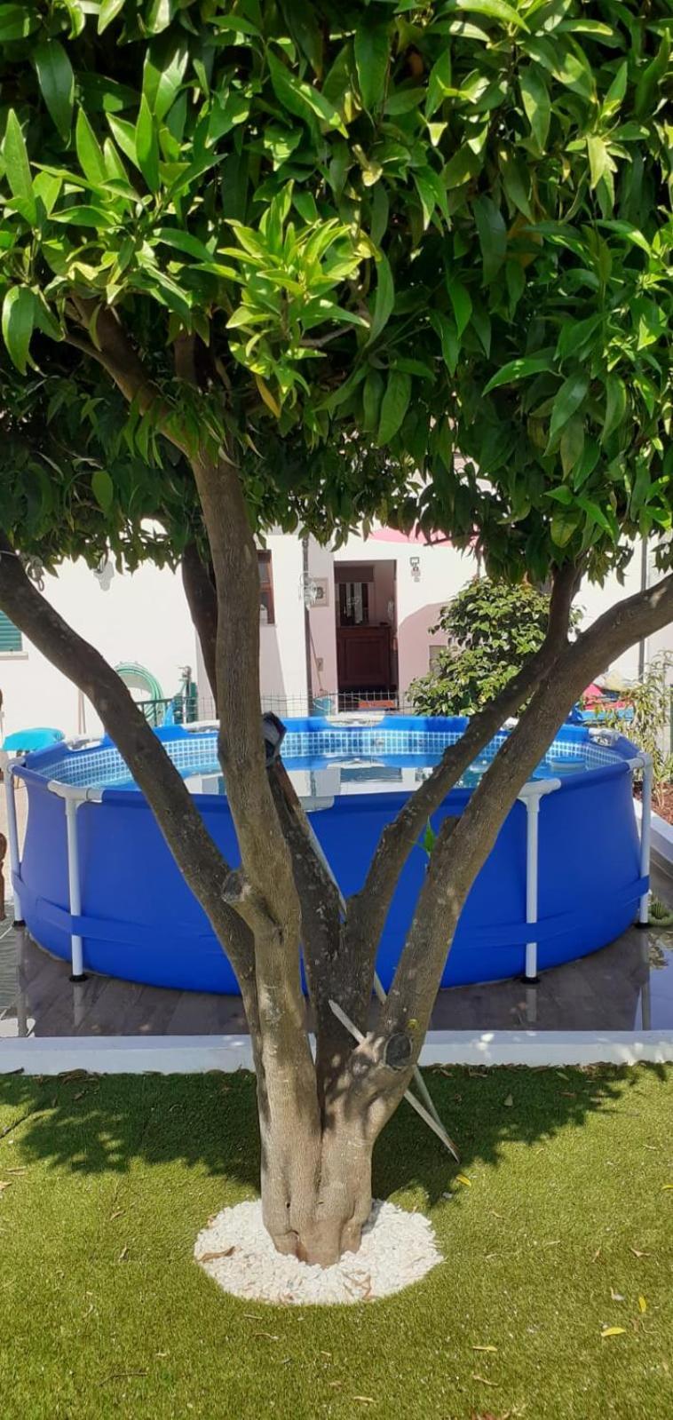 Cantinho Dos Moinhos Montemor-o-Velho Kültér fotó