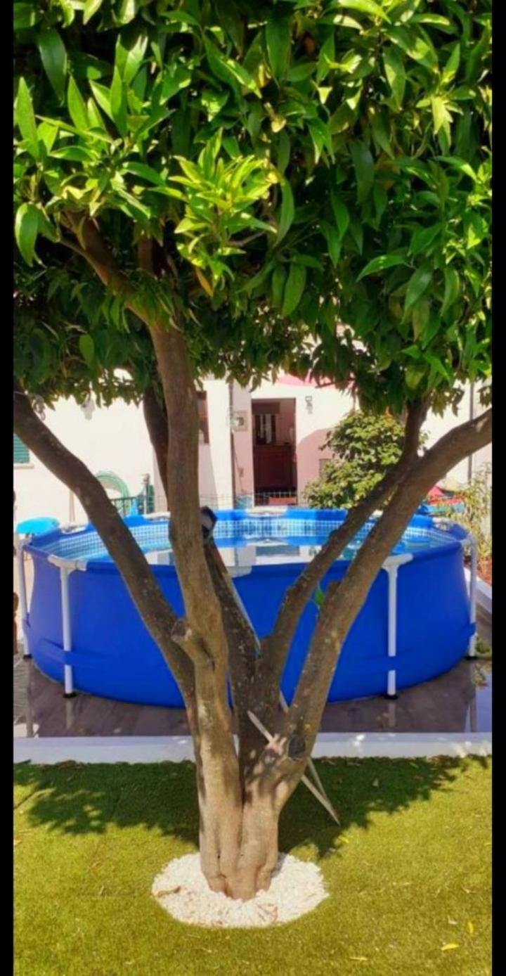 Cantinho Dos Moinhos Montemor-o-Velho Kültér fotó